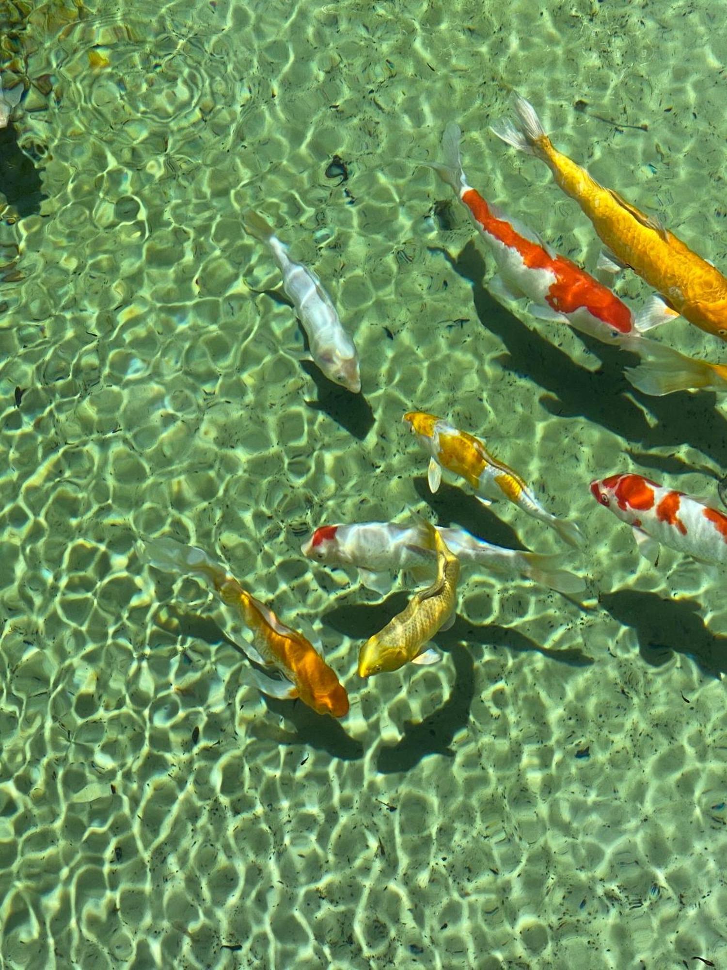 Uxua Casa Hotel & Spa Trancoso Eksteriør billede